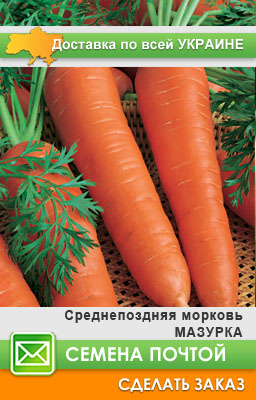 Интернет  семян морковь Мазурка